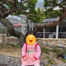 페리에피스김영모 | 성남 김영모 제과점 페리에피스 후기｜내돈내산 두돌 아기랑 조용한 베이커리 카페 (주차, 청계산근처...