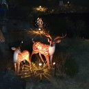 학 조형물 이미지