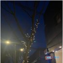 (주)세전