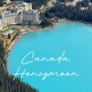 비소(보람)-호-7 | 캐나다 9박10일 신혼여행 코스 일정 경비 숙소 투어 밴프 옐로나이프 밴쿠버 총정리