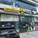 벽산빌딩 세계로마트 앞 | [고집사 필수 코스] 캣마트 대구점 다녀온 이야기 (사진 많음 주의)