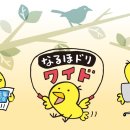 국제연합 80년 이미지