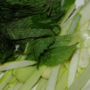 고추장찌개의정석 이미지