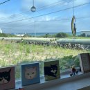 정글 게스트하우스 이미지