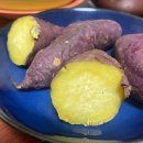 맛샘농장 이미지