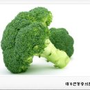 대가연 네이버블로그