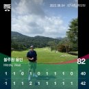 주식회사 블루원 | 블루원용인cc 중/서코스(회원제) 셀프 라운드/노캐디 플레이 후기2022.08.04