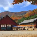 선운사 - 1268 | 선운사