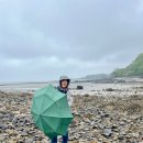 이지하우스 민박 이미지