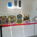 코쿤협재펜션 이미지