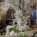 루미에르홀뷔페 이미지