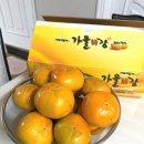 민재농장 이미지