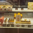 더웨이브온 이미지