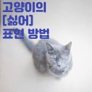 부산고양이장례식장 - 고양이의 '싫어' 표현 방법 이미지