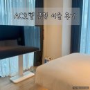 금정-7 | 서울 호캉스 내돈내산 AC호텔 금정 수영장 디럭스 가성비 후기
