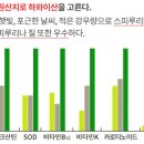 굿헬스코리아