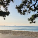 921호 소공원 이미지