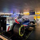 휠체어 타는 사람들 | MSC 벨리시마 크루즈 뽕 뽑은 탑승 후기 1일차 3편(돔 쇼, 휠체어 대여, 선내 시설 정보 위치, 골든 파티)