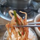 광장복어 이미지