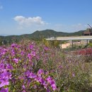 황매산미리내파크 오토캠핑장 이미지