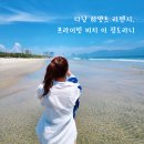 해피 휘트니스 클럽 | 다낭 하얏트 리젠시 후기 클럽룸 해피아워, 조식, 수영장 솔직 리뷰