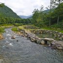 고산자연휴양림 이미지