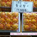 황금빛청과