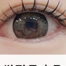 529랩 이미지