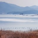 사계여행 이미지