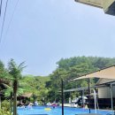 용문상회 | 아이와 놀기 좋은 양평 중원산 중원계곡과 백숙맛집 폭포상회