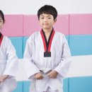 푸르지오태권도장
