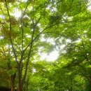 용두어린이공원 이미지