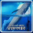 달성화석박물관 | 여름방학 대구 달성화석박물관 솔직후기