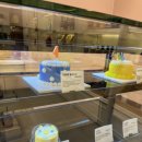 강남애견백화점 이미지