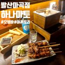 [발산맛집] 발산역 오뎅 야끼토리 맛집 현지 일본 감성 이자카야 하나마토 발산마곡점