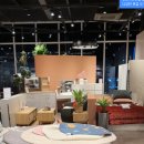 모던아울렛 이미지