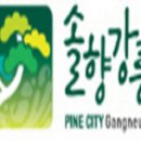 평안정비 이미지
