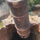 밀양산내돼지국밥 이미지