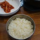 풍천 솔잎장어