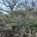 아리사거리~창전동 도로 일대 | 경남 밀양 추화산~산성산~용두산~밀양 아리랑길-1코스