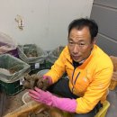 더덕쟁이 이미지