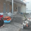 청용1리 이미지