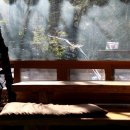 솔바람풍경소리 이미지