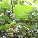 대신건재 이미지