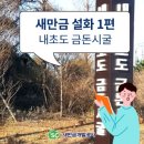 신라하대의 혼란을 보여주는 것 일까? 신라의 향가와 신라후기 인물 탄생설화 들 이미지