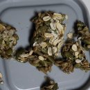 내면복지회관 건강관리실 | (댕댕학교) 강아지 손님왔을때 안정시키는 방법, 흥분 강아지, 짖는개, 반려견 하우스 방법, 화장실...