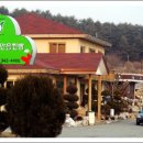 정성찐빵 이미지