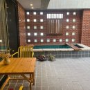 살구 스테이 이미지