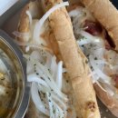 디지스도그 이미지