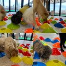 놀러오개 불로점 이미지